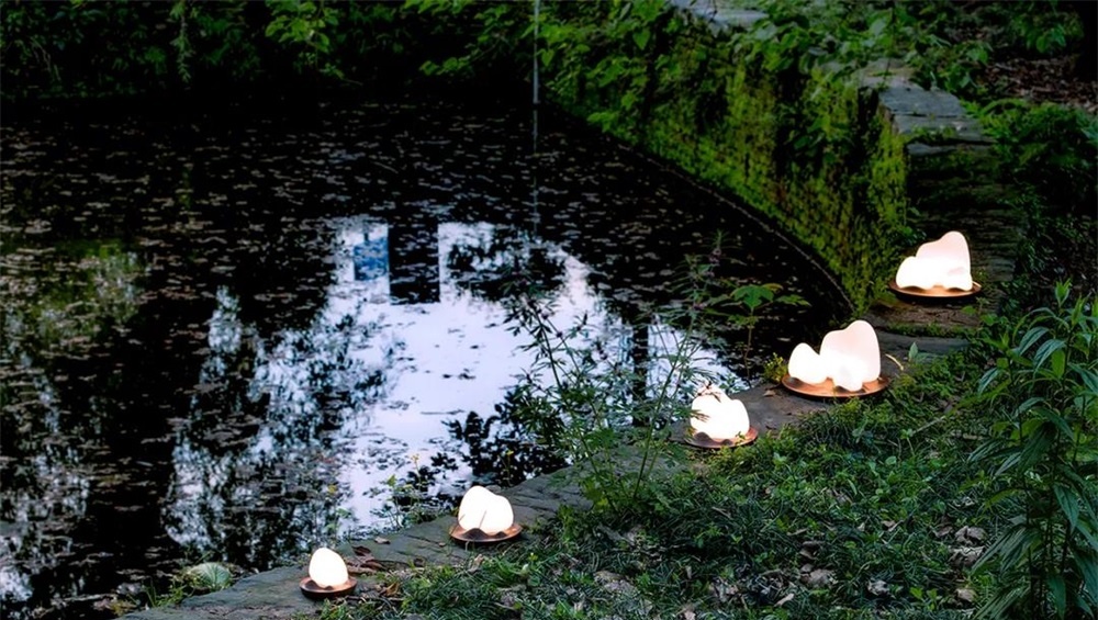 獨(dú)白茶空間 | 記錄夏日光影